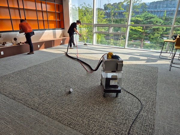 카펫트 청소
