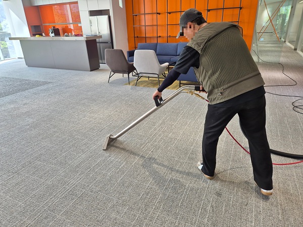 카펫트 청소