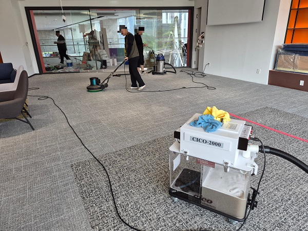 카펫트 청소